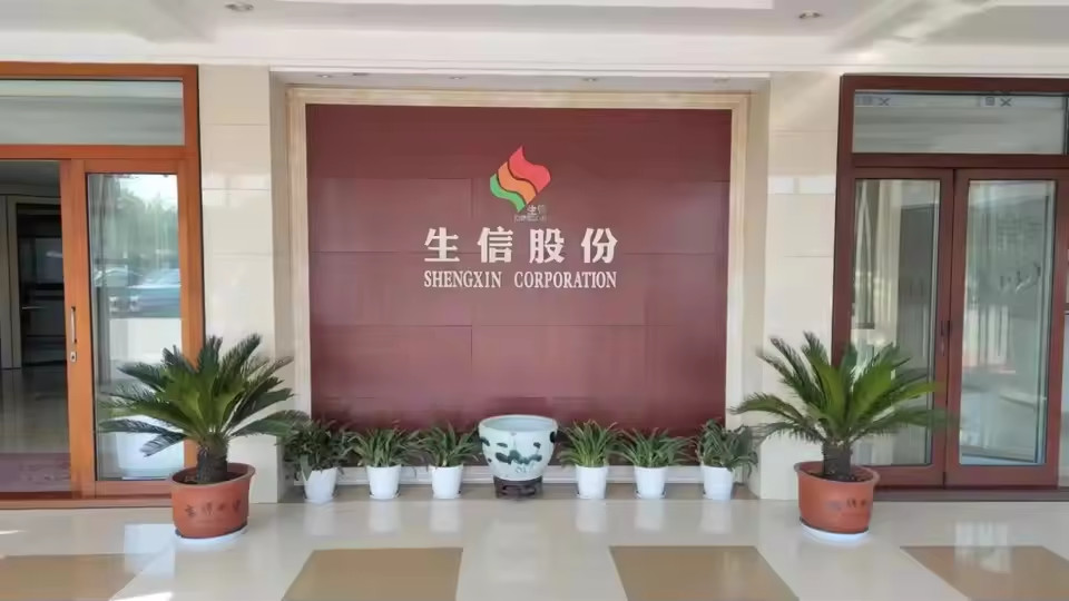 China ANHUI SHENGXIN  CORPORATION LIMITED Unternehmensprofil